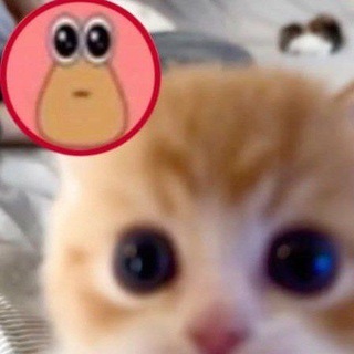 Telegram profile photo for @wcakey move @jmitt oK!
