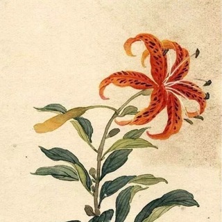 Telegram profile photo for jardin d'orange
