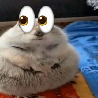 Telegram profile photo for переходник 🤍