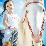Telegram profile photo for دليل الثقة.