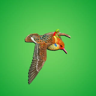 Telegram profile photo for PeaceFROG
