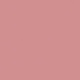 Telegram profile photo for 𓇼’ — (-)bear
