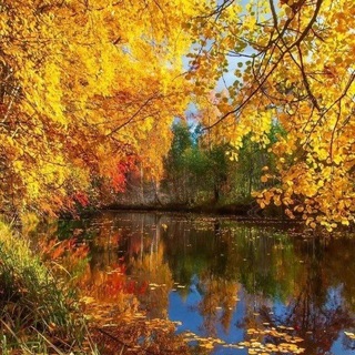 Telegram profile photo for Ефремовка в сети 🍁