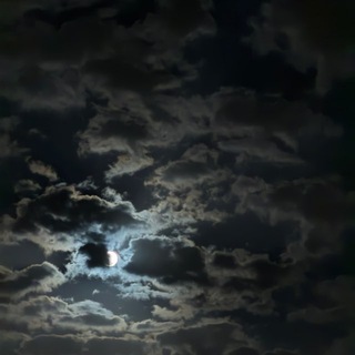 Telegram profile photo for غسق
