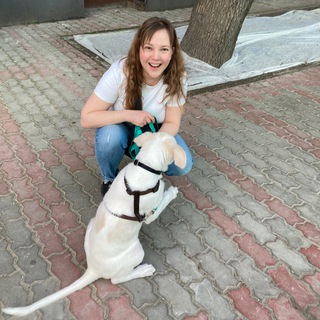 Telegram profile photo for Зверушкина история