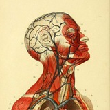 Telegram profile photo for CAS CLINIQUES ET QUIZ