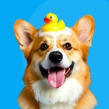 Telegram profile photo for Doggo.novayariga