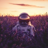 Telegram profile photo for К земле потянуло