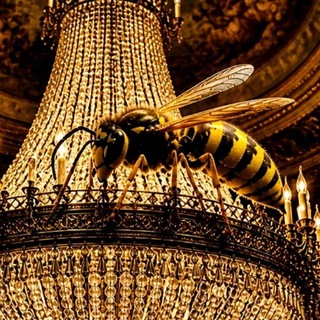 Telegram profile photo for На театральную люстру села оса. В театр. За музыкой. Искусство.
