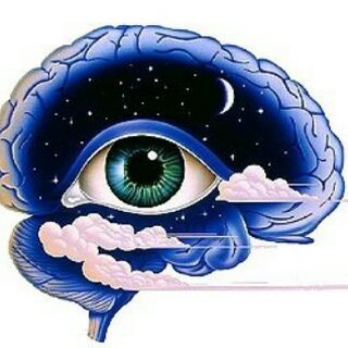 Telegram profile photo for Neuropsicopedagogia PDFs
