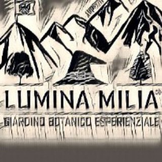 Telegram profile photo for Lumina Milia Park