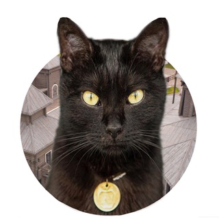 Telegram profile photo for 🐾КОТ-ВОЕВОДА🏰⚔️