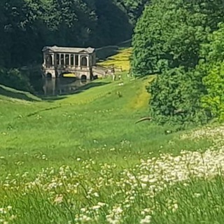 Telegram profile photo for midday meadow