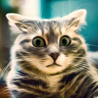 Telegram profile photo for Приколы от Сереги