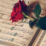 Telegram profile photo for تلاوت های دل ربای هشام العربی