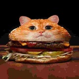 Telegram profile photo for крутое инфо69