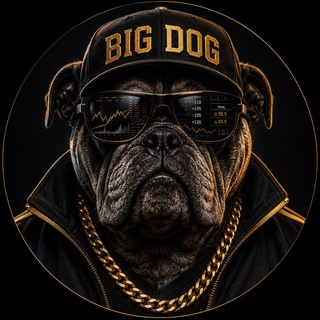 Telegram profile photo for Big Dog Intel🐾