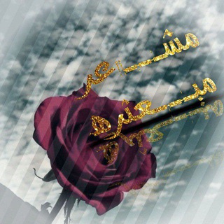 Telegram profile photo for مشاعر مبعثره🚶♀️💔