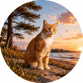 Telegram profile photo for Балтийский край