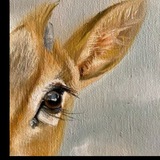 Telegram profile photo for مَا في نَفْسي🤍".