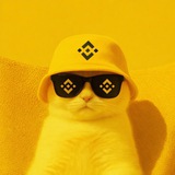 Telegram profile photo for airdropseasonno1