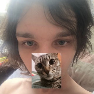 Telegram profile photo for Xylee. (Зайли)