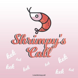 Telegram profile photo for Shrimpy's Calls (no paid calls)