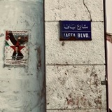 Telegram profile photo for يَافَا 𓂆.