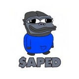 Telegram profile photo for APED