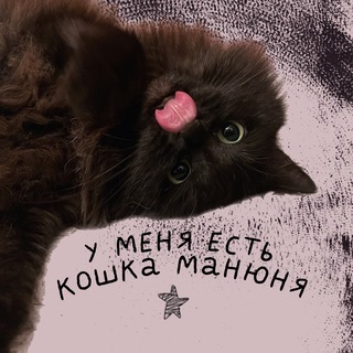 Telegram profile photo for у меня есть кошка манюня