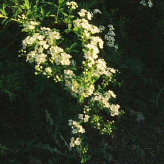 Telegram profile photo for A𝔟𝔟𝔞𝔱𝔱𝔱𝔦𝔰A