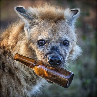 Telegram profile photo for 𝙋𝙨𝙮𝙘𝙝𝙤𝙡𝙤𝙜𝙞𝙘𝙖𝙡 𝙝𝙤𝙧𝙧𝙤𝙧