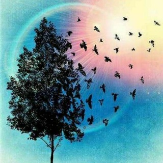 Telegram profile photo for " ݜـَفـَـــق "