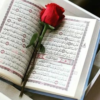 Telegram profile photo for إنه القرآن 🎧