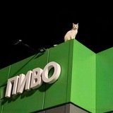 Telegram profile photo for шайтан развлекухи