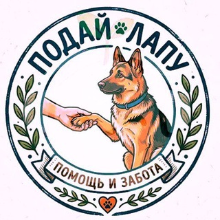 Telegram group profile photo for "Подай Лапу" Пушкино и ближайшее МО.