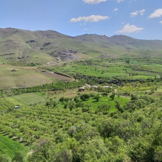 Telegram profile photo for کانال کلکان نثار