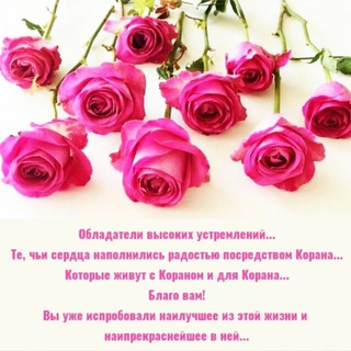 Telegram profile photo for Методы заучивания Корана