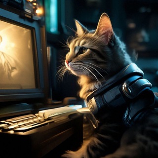 Telegram group profile photo for Секретный чат разведчика