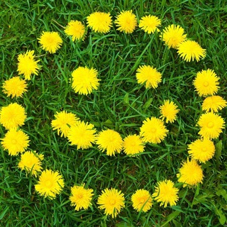 Telegram profile photo for Юмор здорового человека 😊