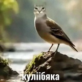 Telegram profile photo for окси шалит | Oksi_animations!