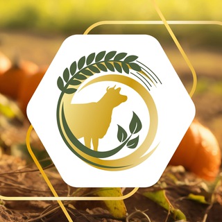 Telegram profile photo for Минсельхоз73🌾