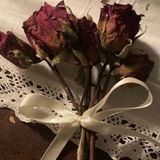 Telegram profile photo for نعِم العَبدِ