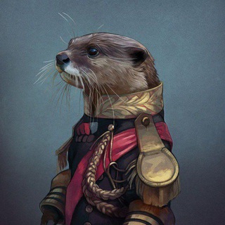 Telegram profile photo for IFNDR Club