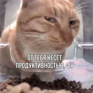 Telegram profile photo for Шпроттии