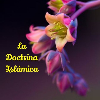 Telegram profile photo for 🌼☘️La Doctrina Islámica☘️🌼