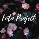 Telegram profile photo for 📸 Сочи | Фотосессии