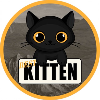 Telegram group profile photo for Kitten Group