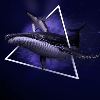 Telegram profile photo for Отзывы Киты Инвестиций