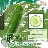 Telegram profile photo for домик огурчика